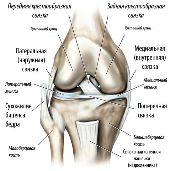 Артроз коленного сустава – современные методы лечения
